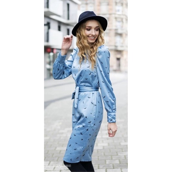 H&M Crane Print Long Sleeve Satin Belted Midi Dress Size 16 Dusty Blue RARE NWT - Picture 1 of 13